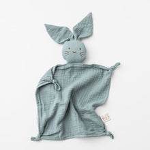 Load image into Gallery viewer, Bunny Lovey - Sage