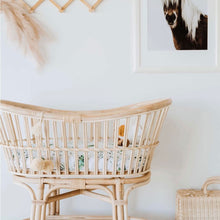 Load image into Gallery viewer, Bassinet sheet and change pad cover - Enchanted - Aidenandava