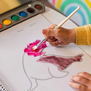 Watercolour Paint Set